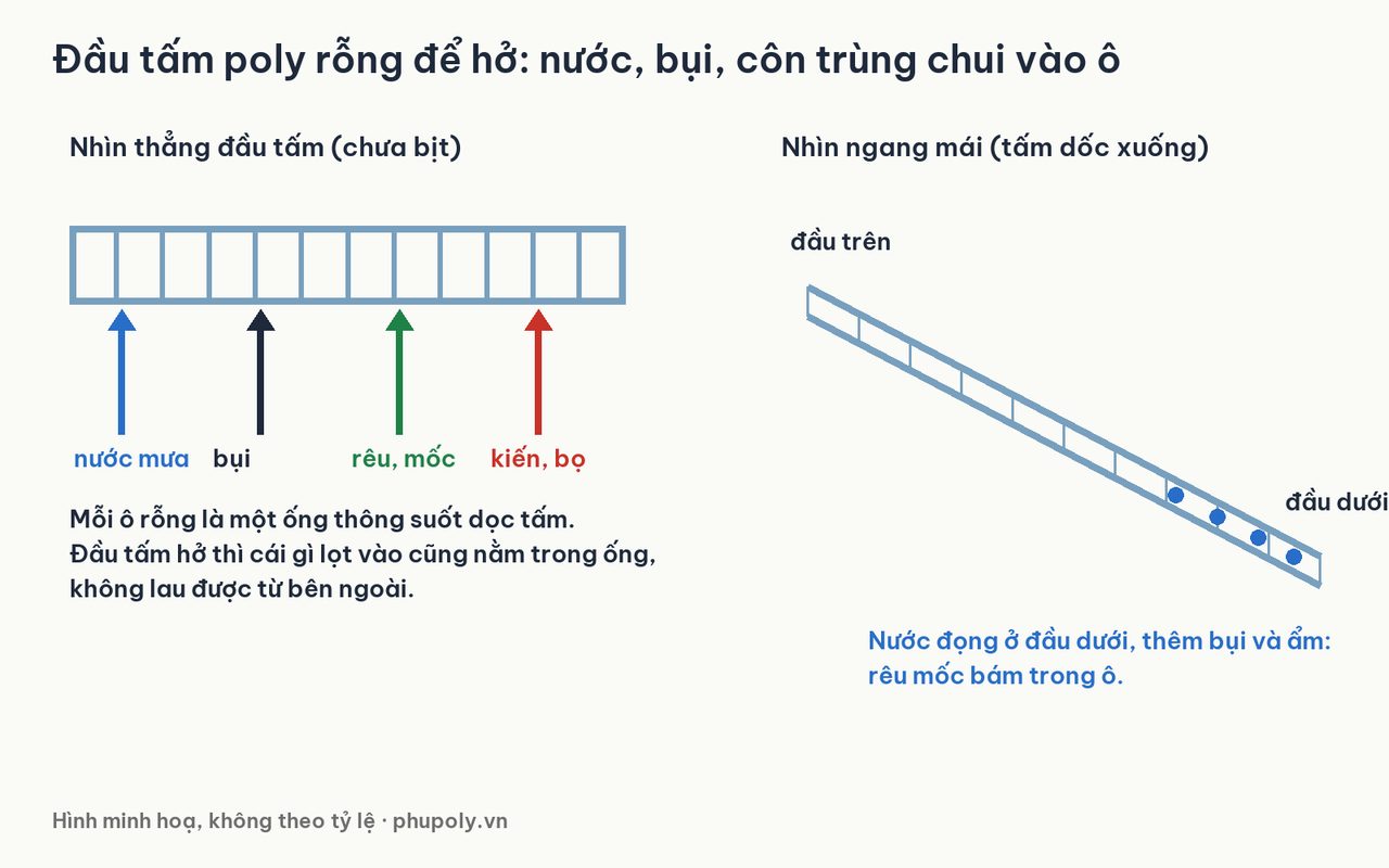 Hình vẽ đầu tấm poly rỗng để hở, nước mưa, bụi, rêu mốc, kiến bọ vào ô